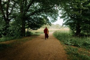 Beginner Guide to Mindful Walking: Steps to Calm and Clarity
